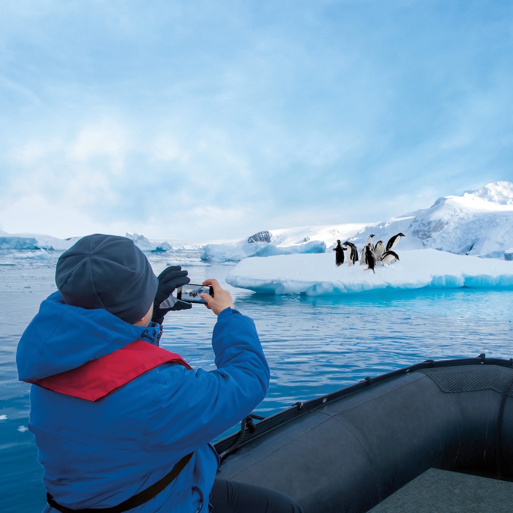 Arctic Discovery